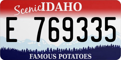 ID license plate E769335