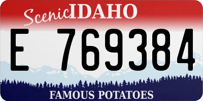 ID license plate E769384