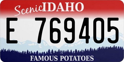 ID license plate E769405