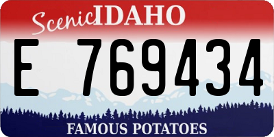 ID license plate E769434