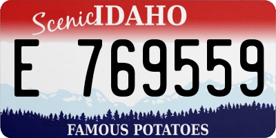 ID license plate E769559