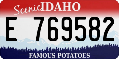 ID license plate E769582