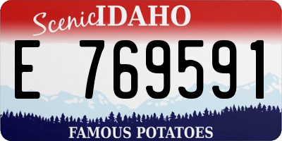 ID license plate E769591