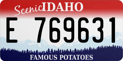 ID license plate E769631