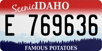 ID license plate E769636
