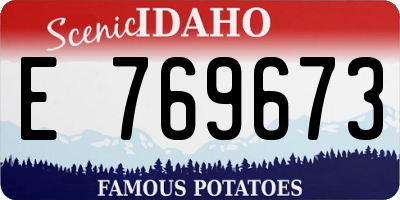 ID license plate E769673