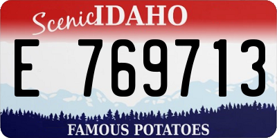 ID license plate E769713