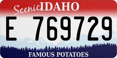 ID license plate E769729