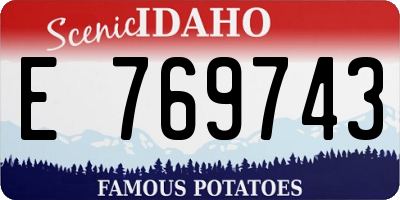 ID license plate E769743