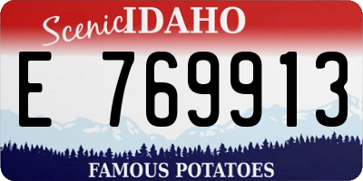 ID license plate E769913