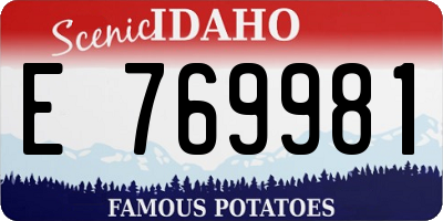 ID license plate E769981