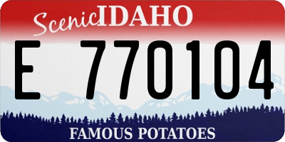 ID license plate E770104