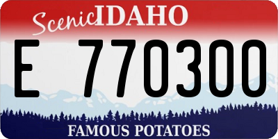 ID license plate E770300