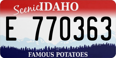 ID license plate E770363
