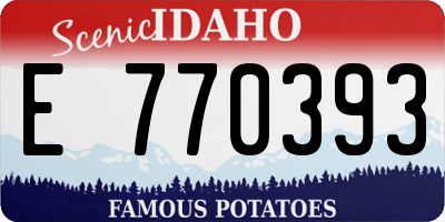 ID license plate E770393