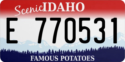 ID license plate E770531