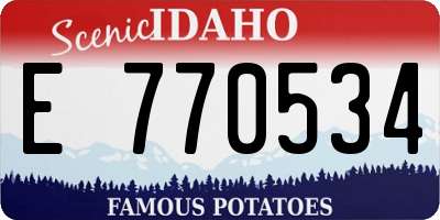 ID license plate E770534