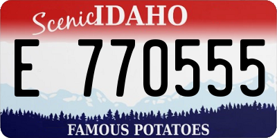 ID license plate E770555