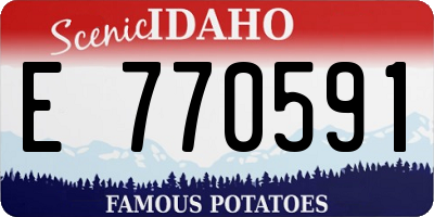 ID license plate E770591