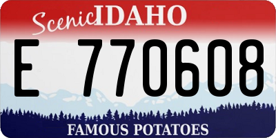 ID license plate E770608