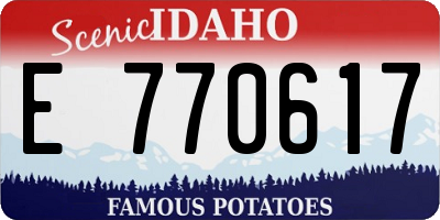 ID license plate E770617