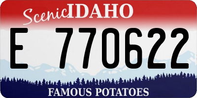 ID license plate E770622