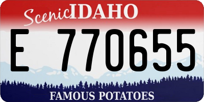 ID license plate E770655