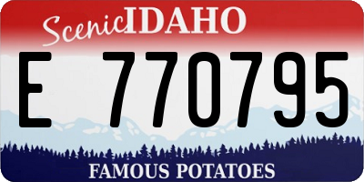 ID license plate E770795