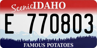 ID license plate E770803