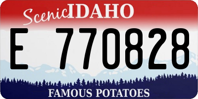 ID license plate E770828