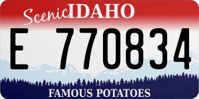 ID license plate E770834