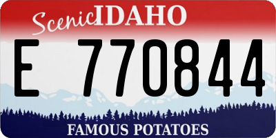 ID license plate E770844
