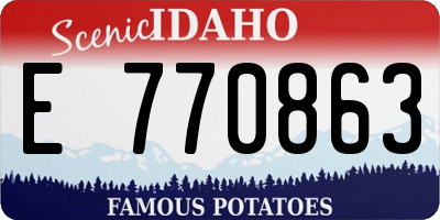 ID license plate E770863