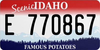 ID license plate E770867