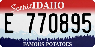 ID license plate E770895