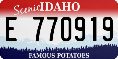 ID license plate E770919