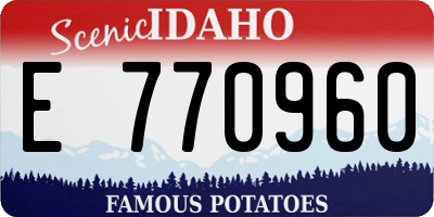 ID license plate E770960