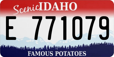 ID license plate E771079