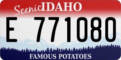ID license plate E771080