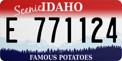 ID license plate E771124