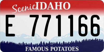 ID license plate E771166