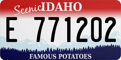 ID license plate E771202