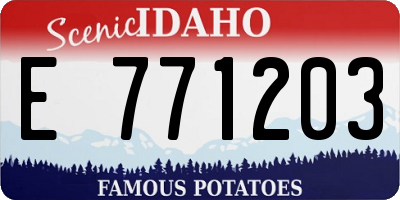ID license plate E771203