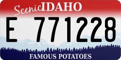 ID license plate E771228