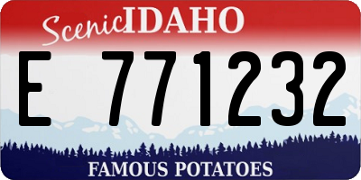 ID license plate E771232