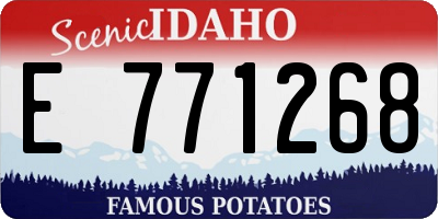 ID license plate E771268