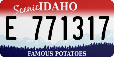ID license plate E771317
