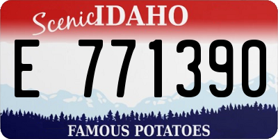 ID license plate E771390