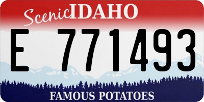 ID license plate E771493