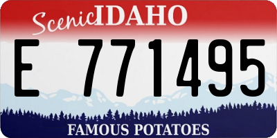 ID license plate E771495